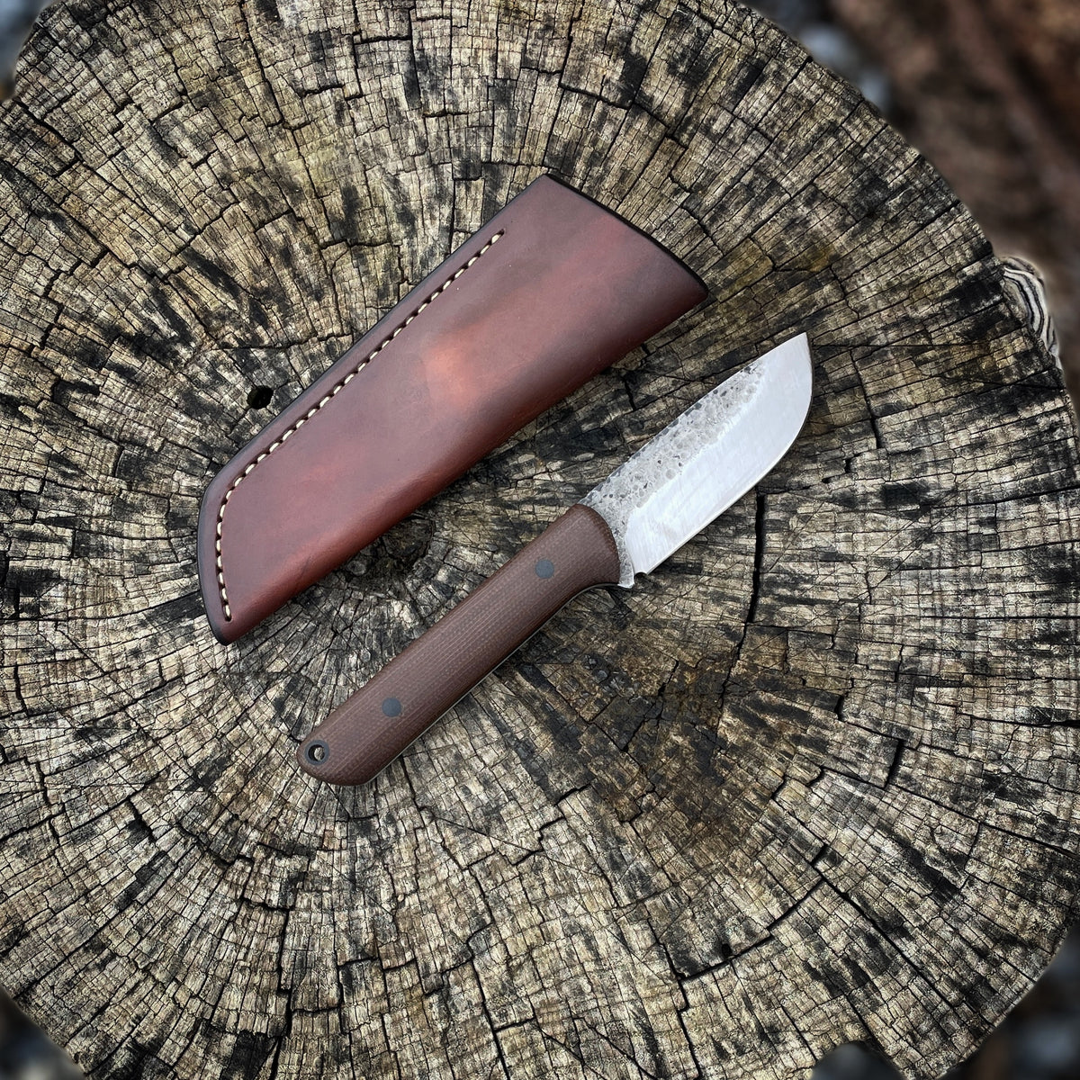 image_f5e50b96-8cfc-4268-a845-