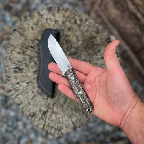 Carver in NitroV