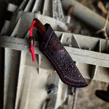 Carry in W2 and Cocobolo